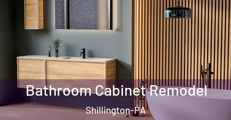 inner Bathroom imggen Bathroom Cabinet Remodel Shillington-PA