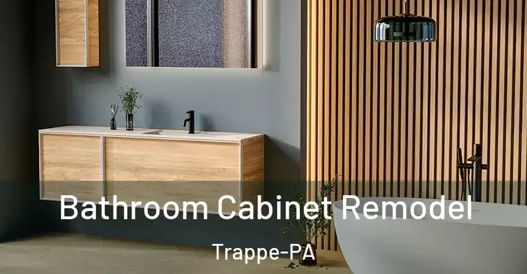 inner Bathroom imggen Bathroom Cabinet Remodel Trappe-PA
