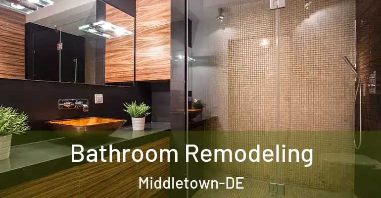 inner Bathroom imggen Bathroom Remodeling Middletown-DE