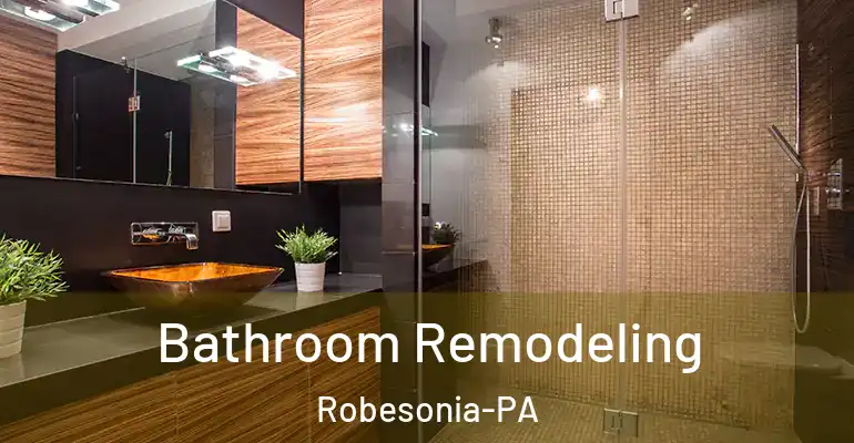 inner Bathroom imggen Bathroom Remodeling Robesonia-PA
