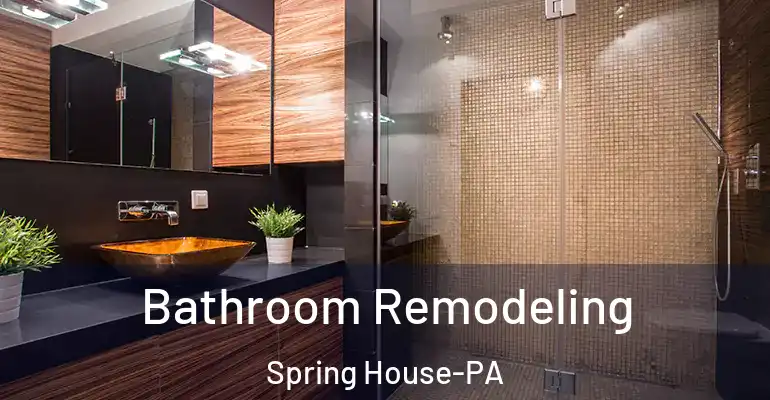 inner Bathroom imggen Bathroom Remodeling Spring House-PA