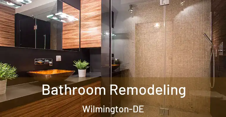 inner Bathroom imggen Bathroom Remodeling Wilmington-DE
