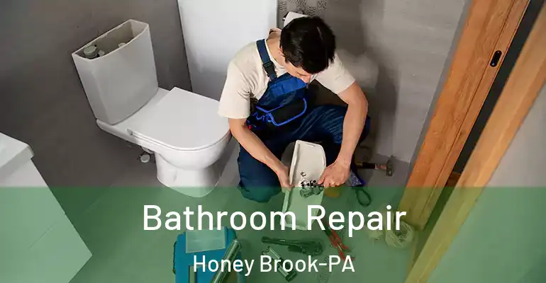 inner Bathroom imggen Bathroom Repair Honey Brook-PA