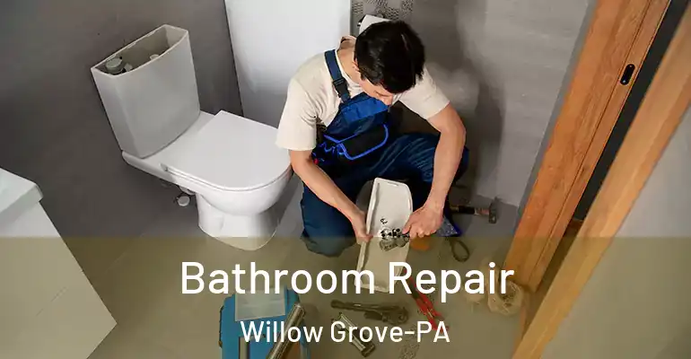 inner Bathroom imggen Bathroom Repair Willow Grove-PA