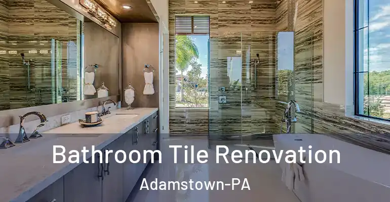 inner Bathroom imggen Bathroom Tile Renovation Adamstown-PA