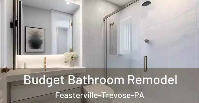 inner Bathroom imggen Budget Bathroom Remodel Feasterville-Trevose-PA