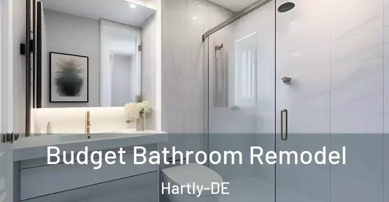 inner Bathroom imggen Budget Bathroom Remodel Hartly-DE