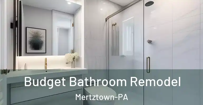 inner Bathroom imggen Budget Bathroom Remodel Mertztown-PA