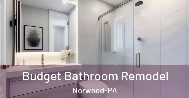 inner Bathroom imggen Budget Bathroom Remodel Norwood-PA