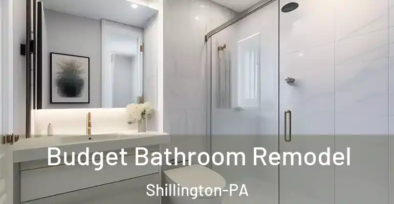 inner Bathroom imggen Budget Bathroom Remodel Shillington-PA