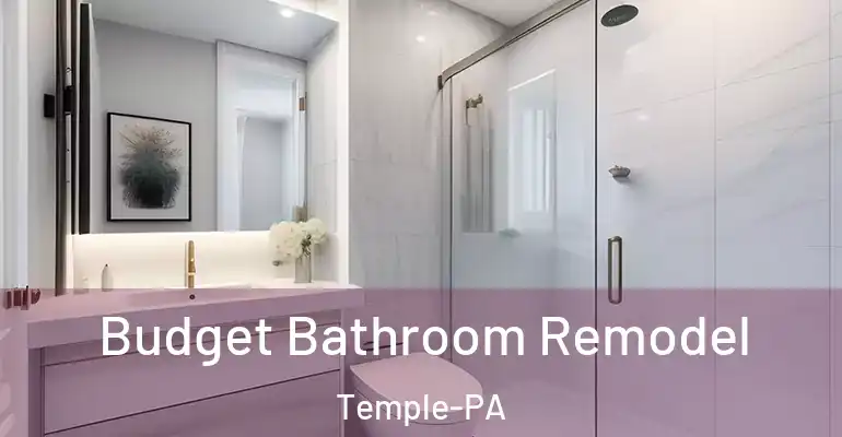 inner Bathroom imggen Budget Bathroom Remodel Temple-PA