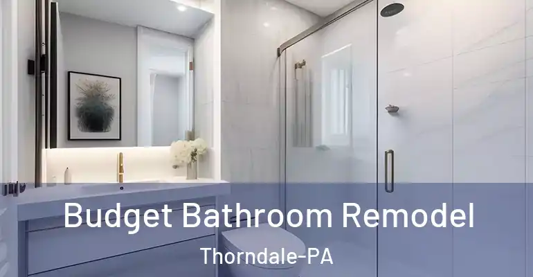 inner Bathroom imggen Budget Bathroom Remodel Thorndale-PA