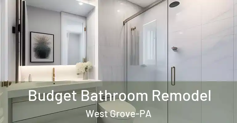 inner Bathroom imggen Budget Bathroom Remodel West Grove-PA