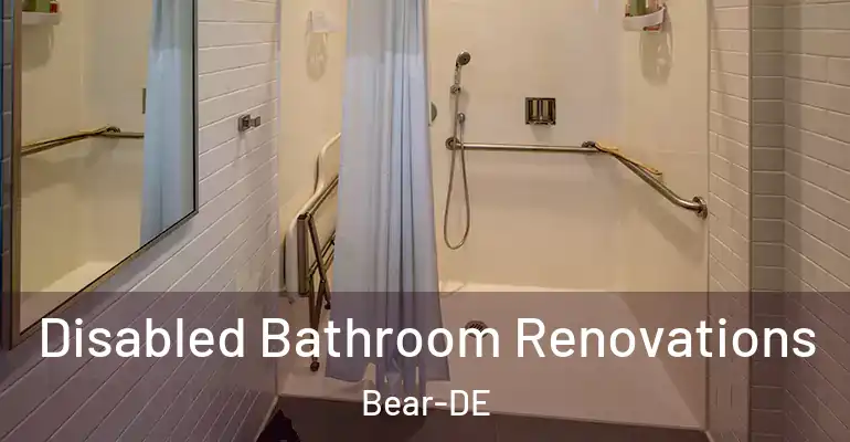 inner Bathroom imggen Disabled Bathroom Renovations Bear-DE