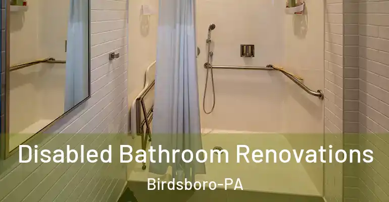 inner Bathroom imggen Disabled Bathroom Renovations Birdsboro-PA