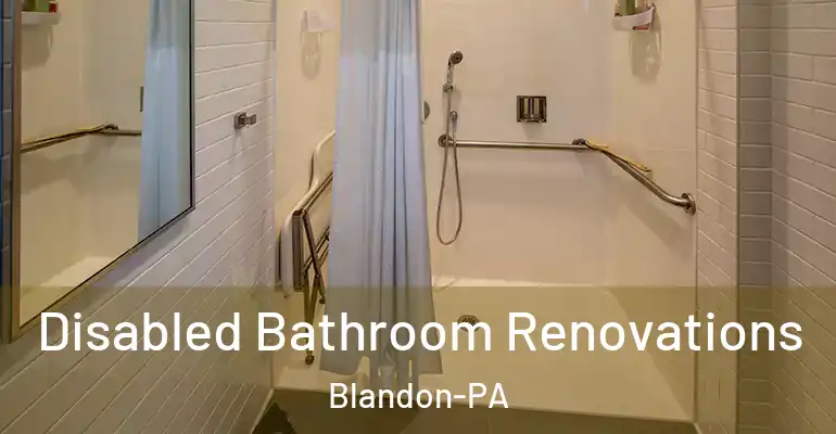 inner Bathroom imggen Disabled Bathroom Renovations Blandon-PA