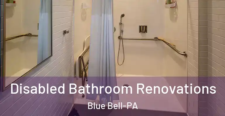 inner Bathroom imggen Disabled Bathroom Renovations Blue Bell-PA