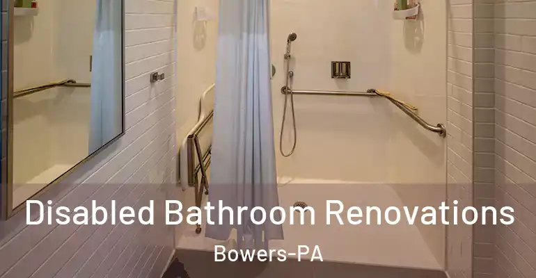 inner Bathroom imggen Disabled Bathroom Renovations Bowers-PA