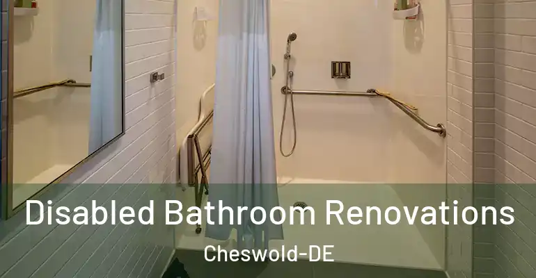 inner Bathroom imggen Disabled Bathroom Renovations Cheswold-DE