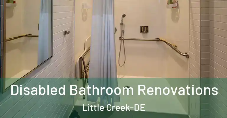 inner Bathroom imggen Disabled Bathroom Renovations Little Creek-DE