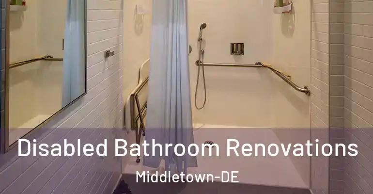 inner Bathroom imggen Disabled Bathroom Renovations Middletown-DE