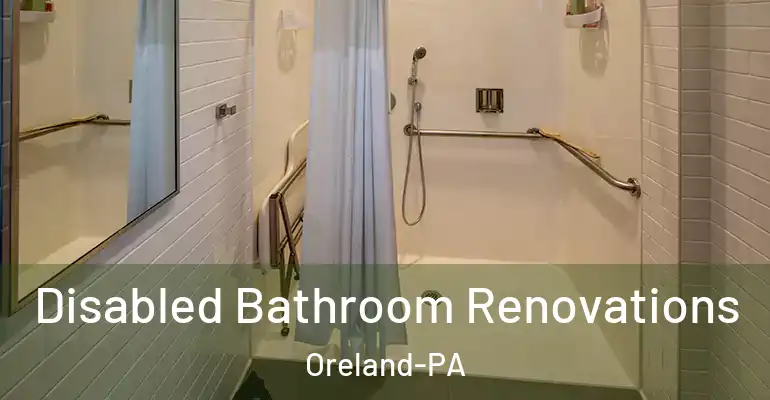 inner Bathroom imggen Disabled Bathroom Renovations Oreland-PA