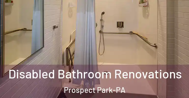 inner Bathroom imggen Disabled Bathroom Renovations Prospect Park-PA