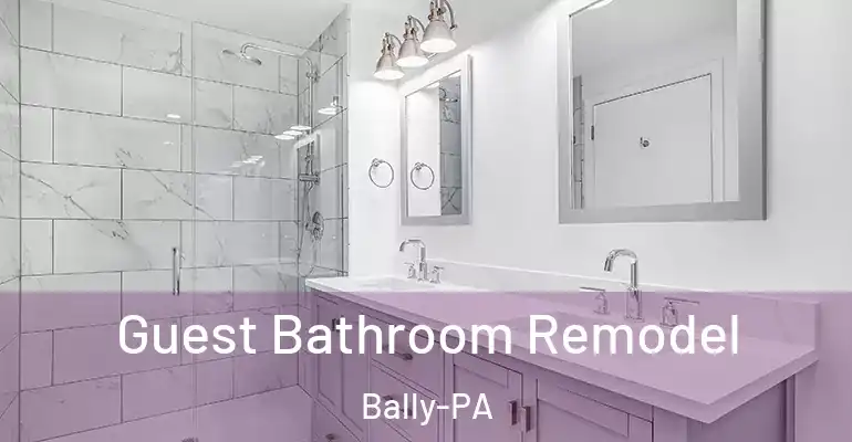inner Bathroom imggen Guest Bathroom Remodel Bally-PA