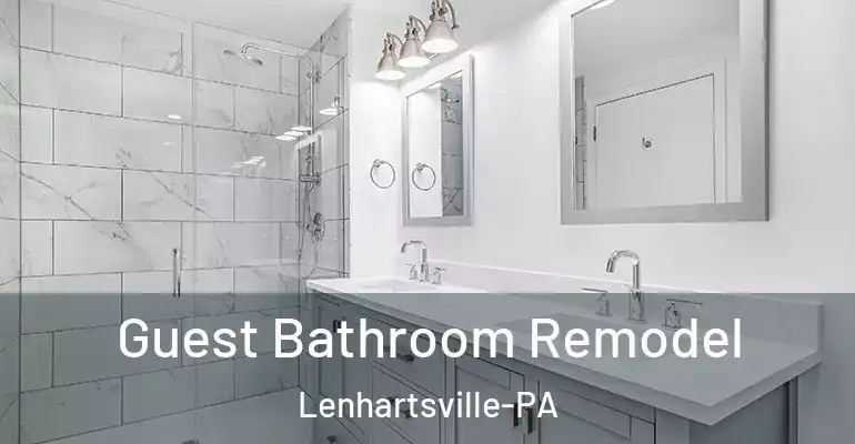 inner Bathroom imggen Guest Bathroom Remodel Lenhartsville-PA