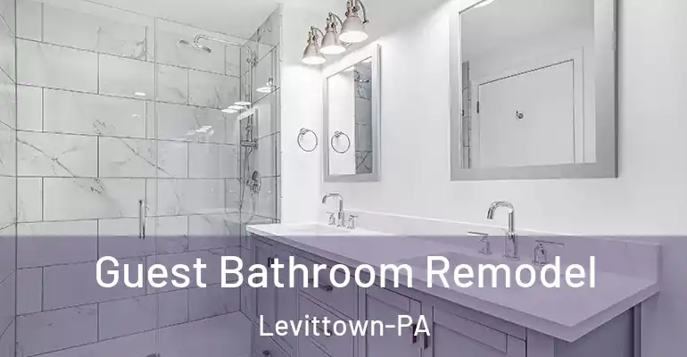 inner Bathroom imggen Guest Bathroom Remodel Levittown-PA