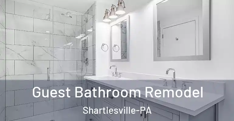 inner Bathroom imggen Guest Bathroom Remodel Shartlesville-PA