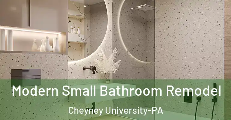 inner Bathroom imggen Modern Small Bathroom Remodel Cheyney University-PA