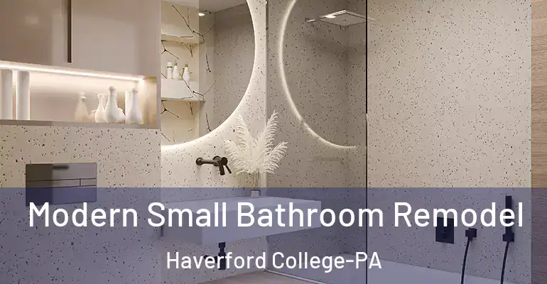 inner Bathroom imggen Modern Small Bathroom Remodel Haverford College-PA