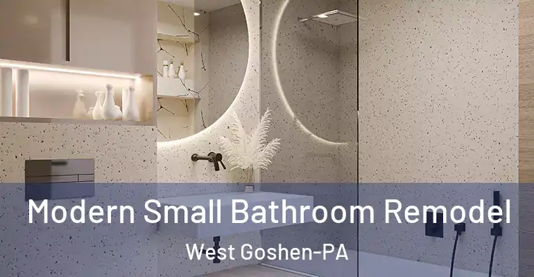 inner Bathroom imggen Modern Small Bathroom Remodel West Goshen-PA