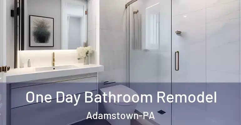 inner Bathroom imggen One Day Bathroom Remodel Adamstown-PA