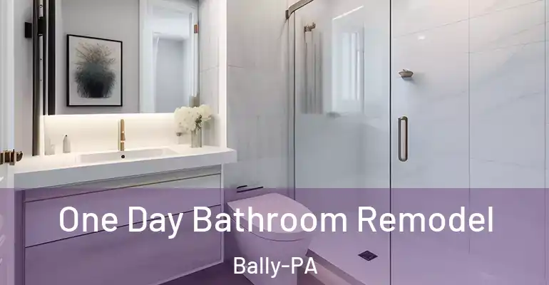inner Bathroom imggen One Day Bathroom Remodel Bally-PA