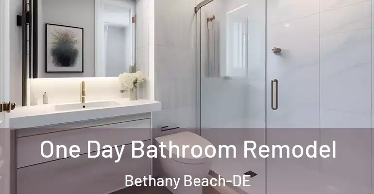 inner Bathroom imggen One Day Bathroom Remodel Bethany Beach-DE