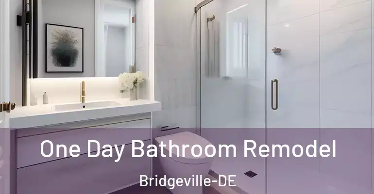 inner Bathroom imggen One Day Bathroom Remodel Bridgeville-DE