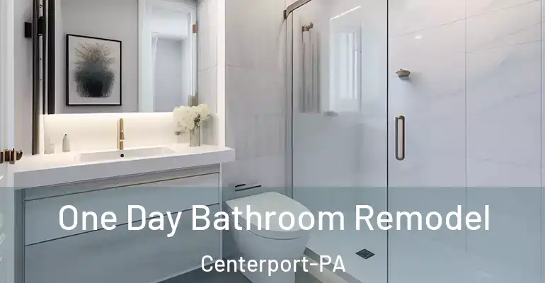 inner Bathroom imggen One Day Bathroom Remodel Centerport-PA