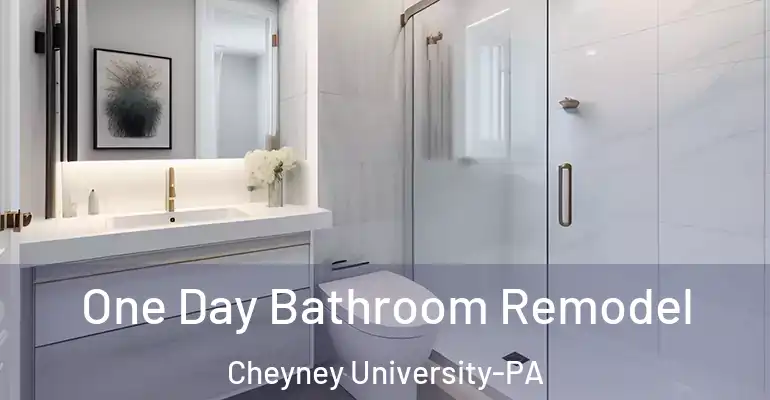 inner Bathroom imggen One Day Bathroom Remodel Cheyney University-PA