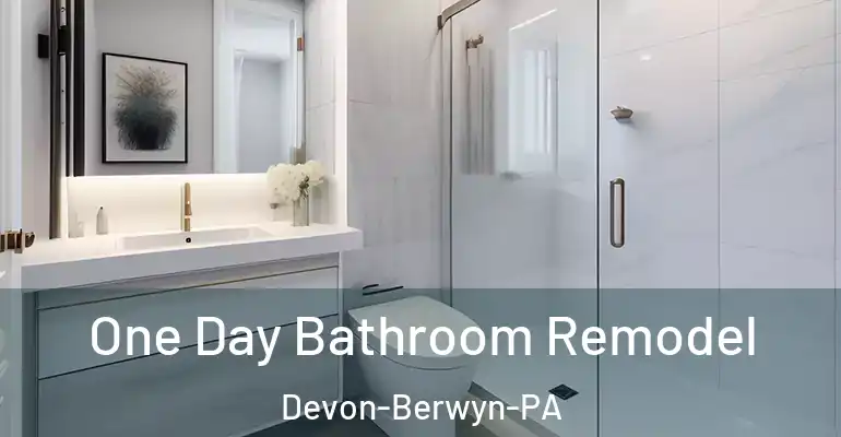 inner Bathroom imggen One Day Bathroom Remodel Devon-Berwyn-PA