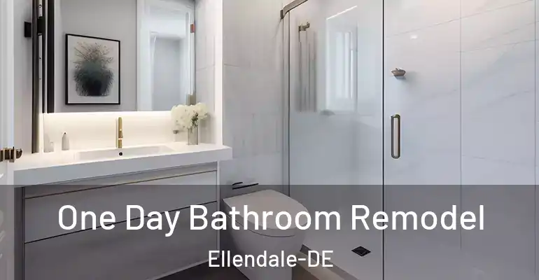 inner Bathroom imggen One Day Bathroom Remodel Ellendale-DE