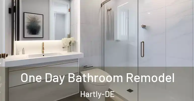 inner Bathroom imggen One Day Bathroom Remodel Hartly-DE