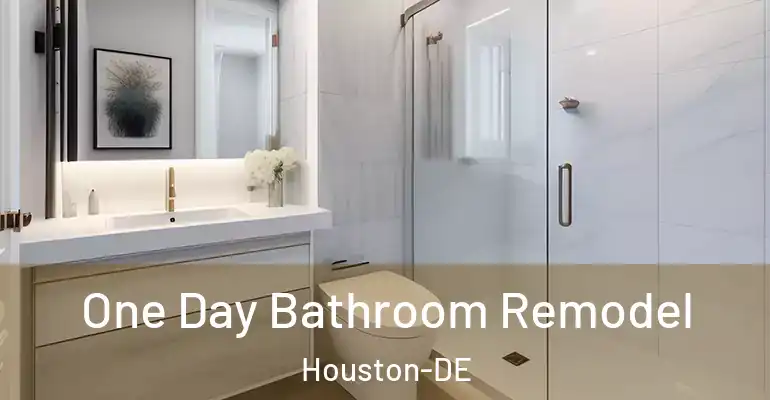 inner Bathroom imggen One Day Bathroom Remodel Houston-DE