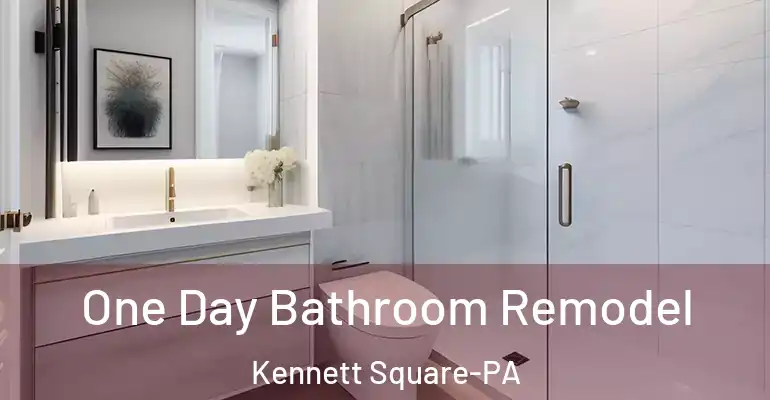 inner Bathroom imggen One Day Bathroom Remodel Kennett Square-PA