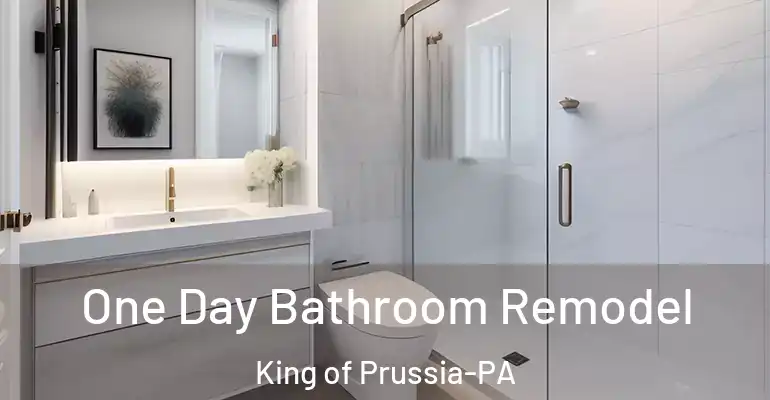 inner Bathroom imggen One Day Bathroom Remodel King of Prussia-PA