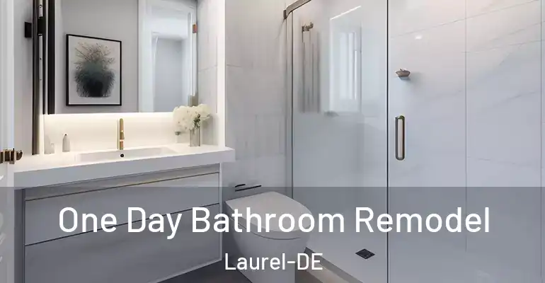 inner Bathroom imggen One Day Bathroom Remodel Laurel-DE