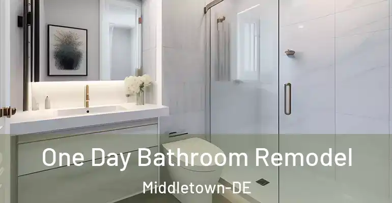inner Bathroom imggen One Day Bathroom Remodel Middletown-DE