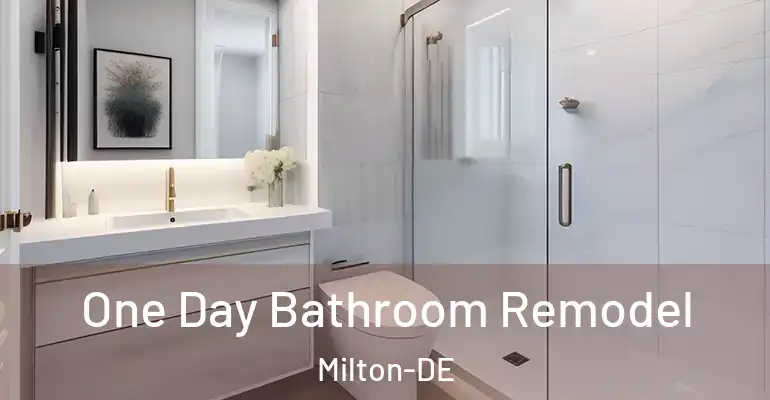 inner Bathroom imggen One Day Bathroom Remodel Milton-DE