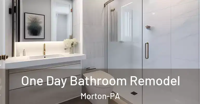 inner Bathroom imggen One Day Bathroom Remodel Morton-PA